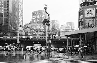 Pedestrian crossing grayscale images
